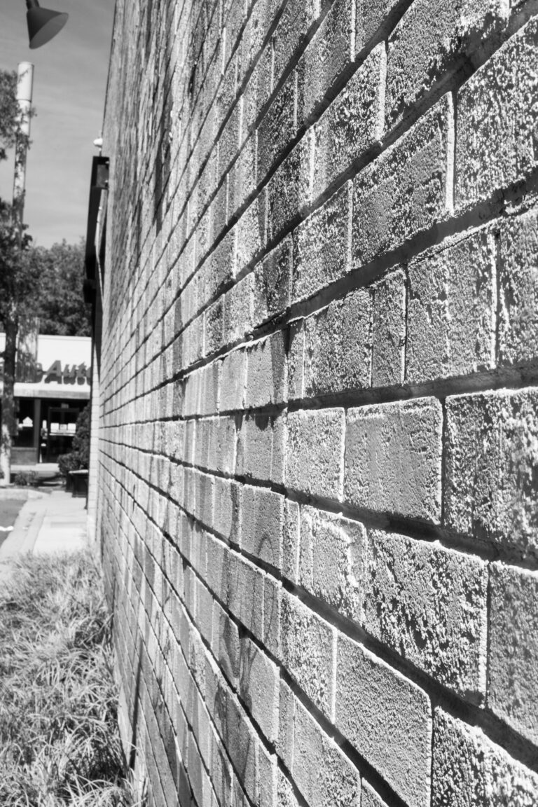 Carrboro Scavenger Hunt